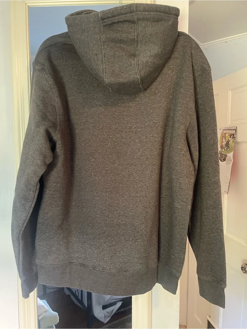 Gray Washington Graphic Hooded Sweatshirt